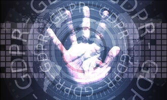 开云真人娱乐官网-NBA联盟官方App用户体验优化路径研究,nba联盟最新消息